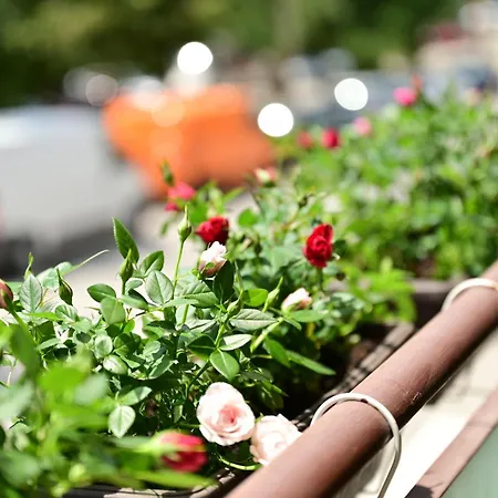 българия Διαμέρισμα Βελίκο Τίρνοβο